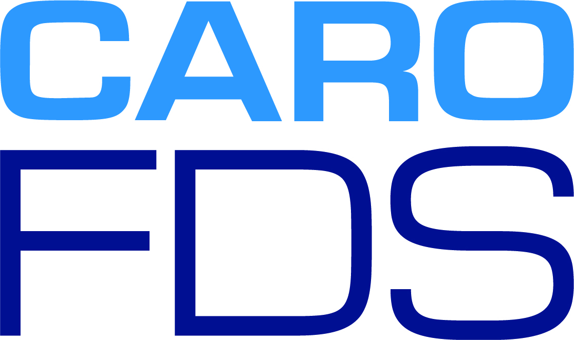 Caro Systems Logo